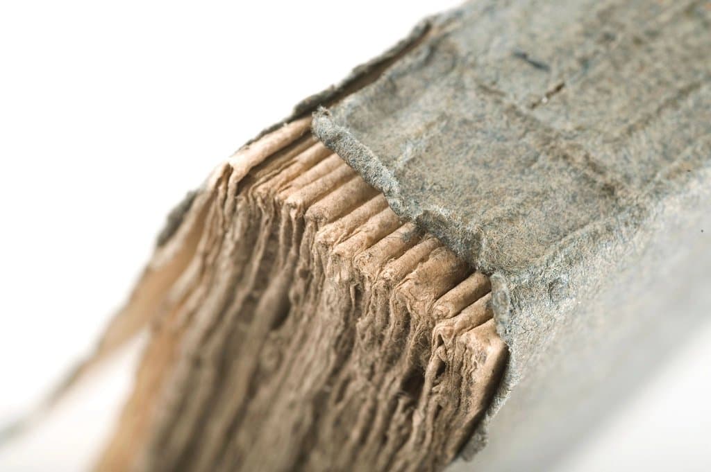 Termite Wood Damage